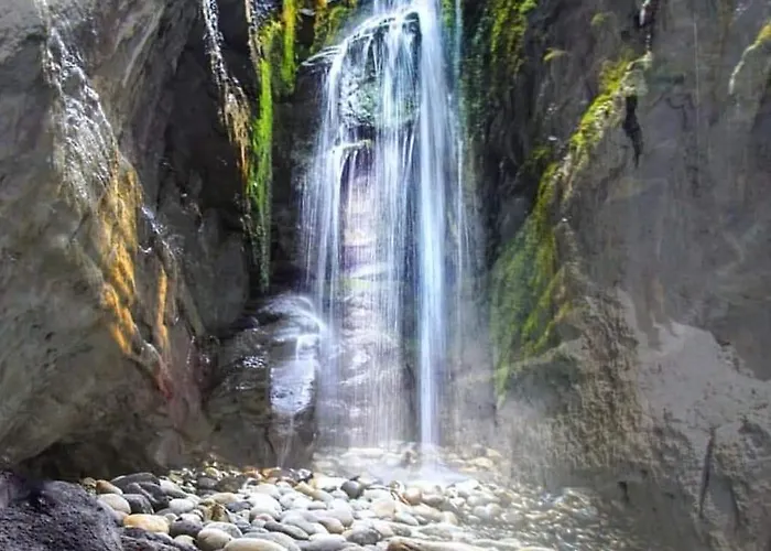 Curragh View 킬리벡스